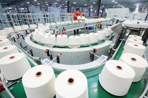 棉紡企業產銷兩旺，針織品行業迎來新局